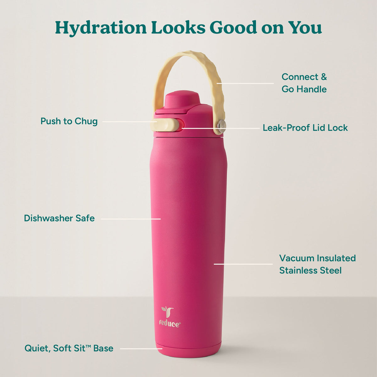 aura-26-oz-c9 Aura_26oz_DragonFruit_PDP_Infographic_2-03.jpg