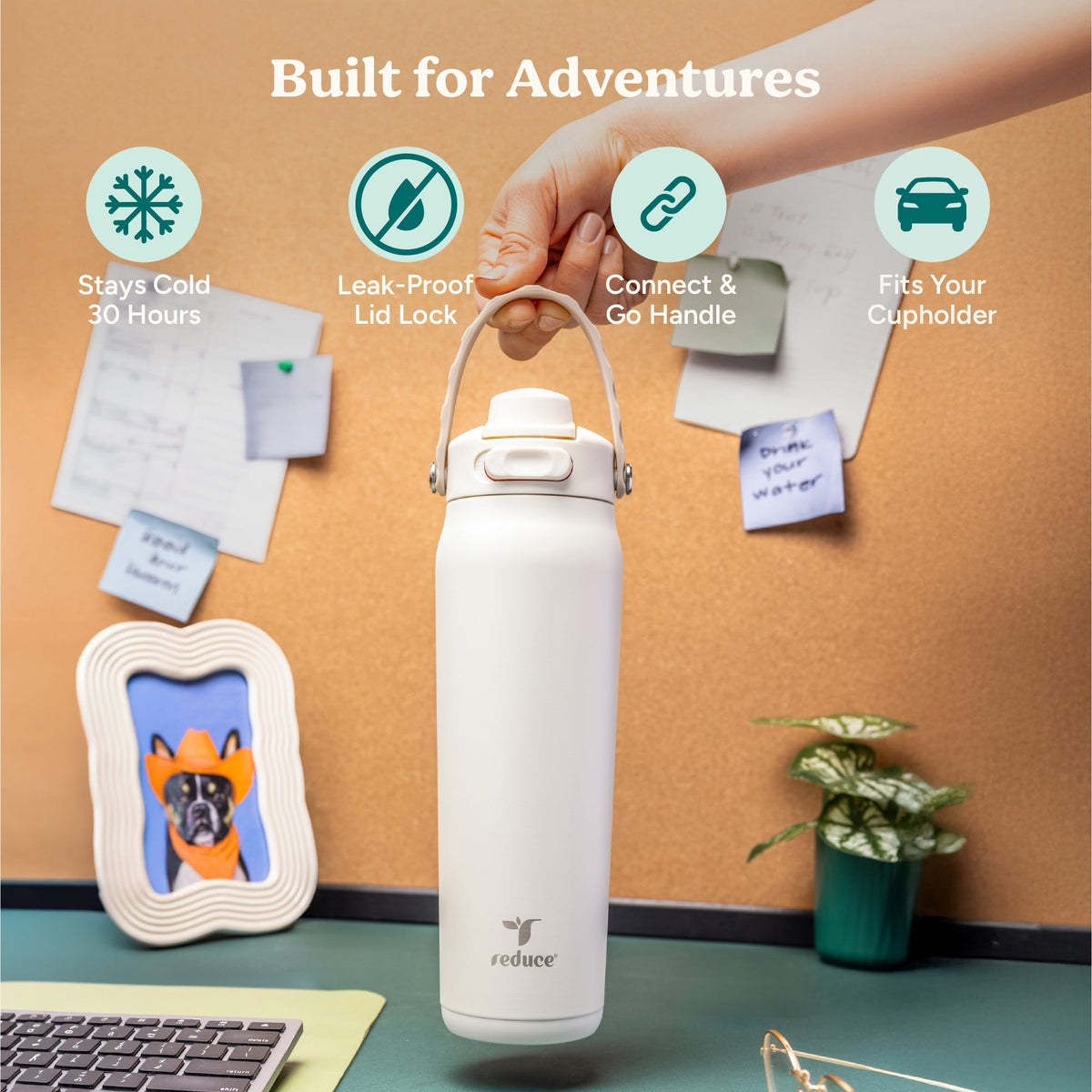 aura-26-oz-c9 Aura_26oz_Unbleached_PDP_Infographic_1.jpg