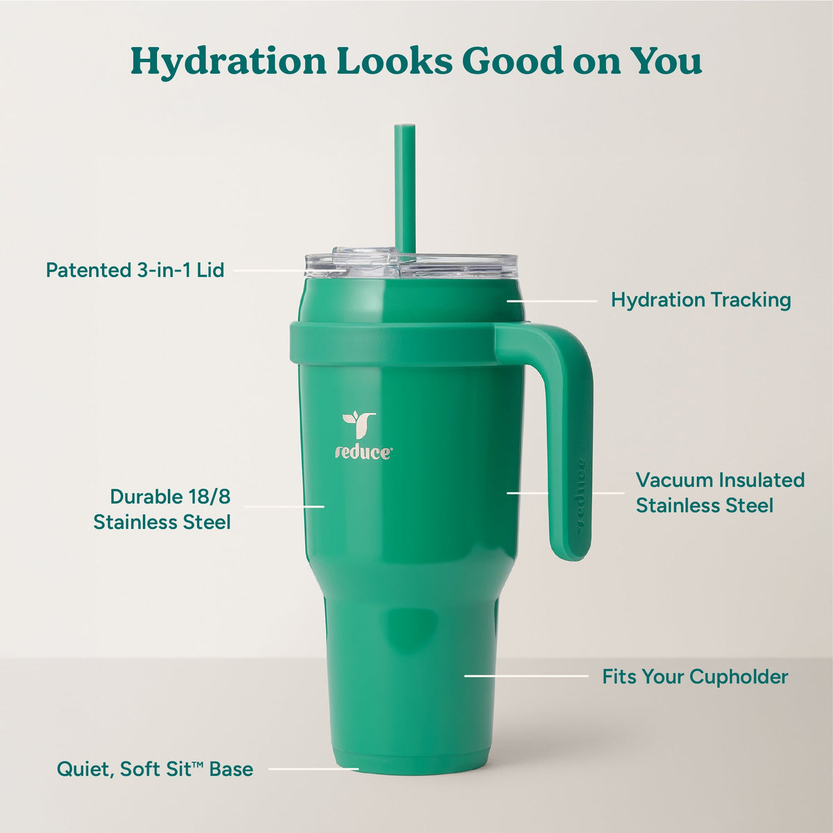 cold1-40-oz-f2 Cold1_40oz_PalmLeaf_Infographic_2.jpg