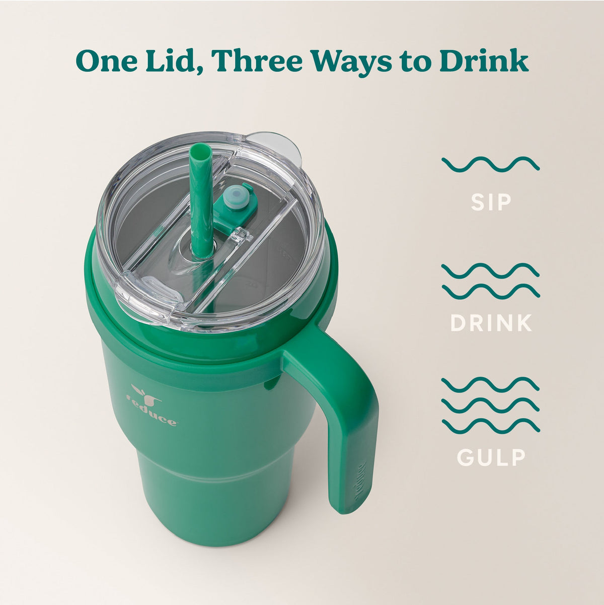 cold1-40-oz-f2 Cold1_40oz_PalmLeaf_Infographic_3.jpg