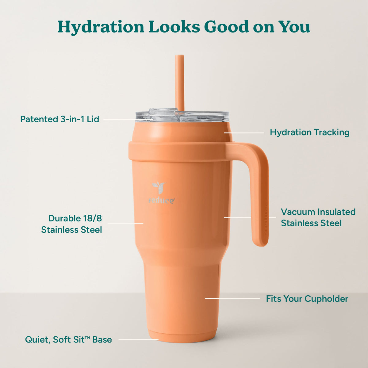 cold1-40-oz-f2 Cold1_40oz_Papaya_Infographic_2.jpg